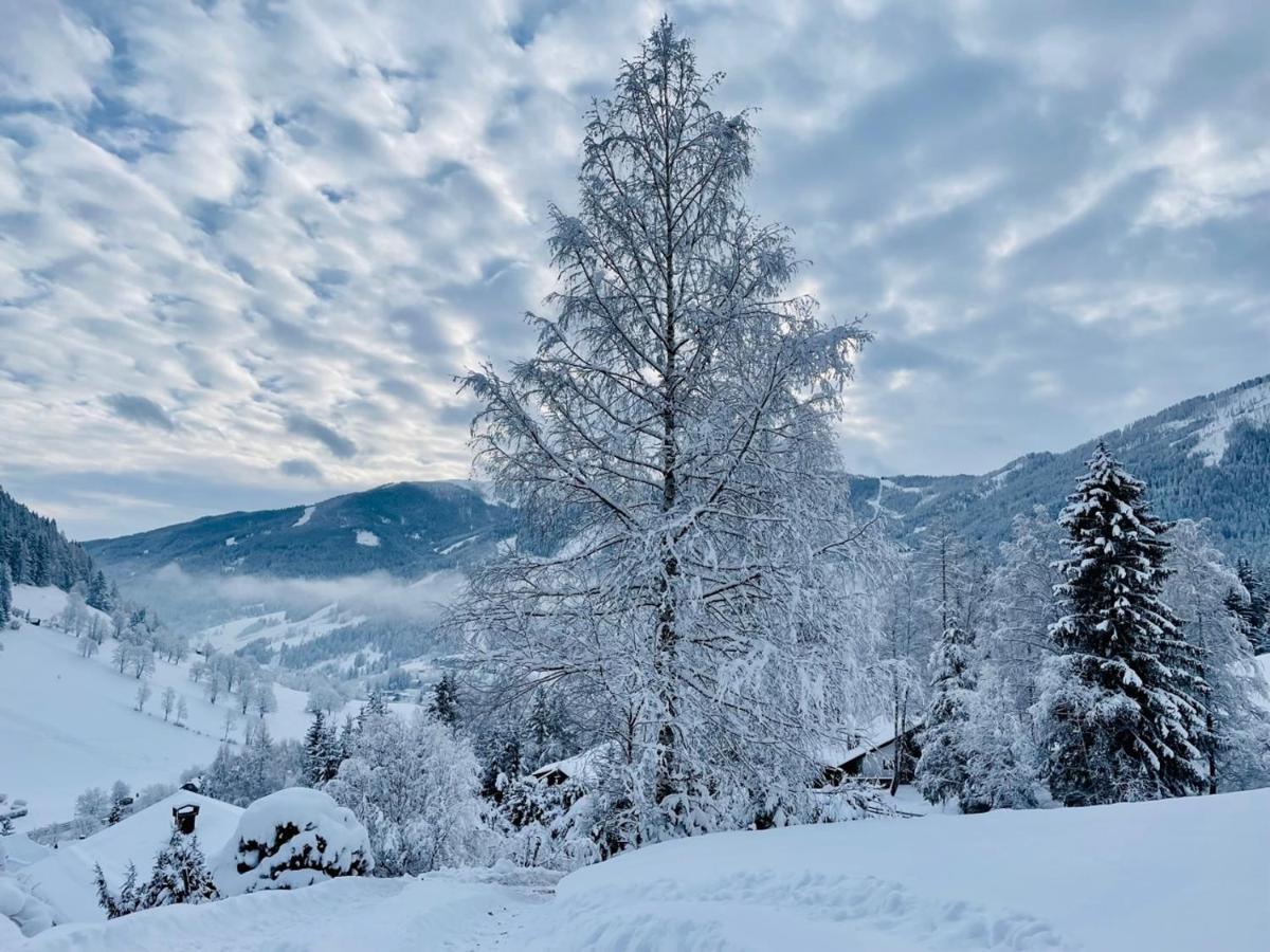 Alpenliebe Apartment Bad Kleinkirchheim Bagian luar foto